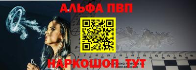 a pvp Новозыбков