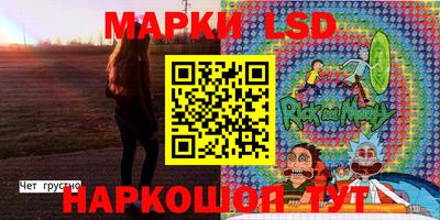 a pvp Новозыбков