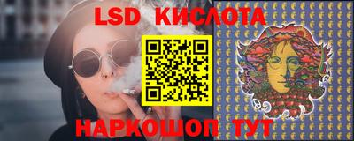 a pvp Новозыбков