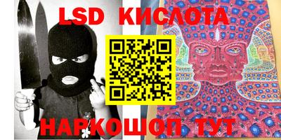 крисы Новокубанск