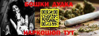 крисы Новокубанск