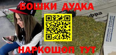 крисы Новокубанск