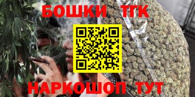 крисы Новокубанск