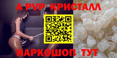 a pvp Новозыбков