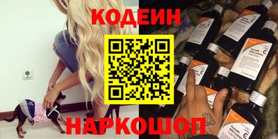 a pvp Новозыбков