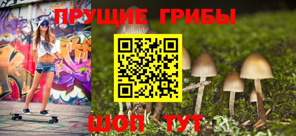 Галлюциногенные грибы Psilocybine cubensis Реутов